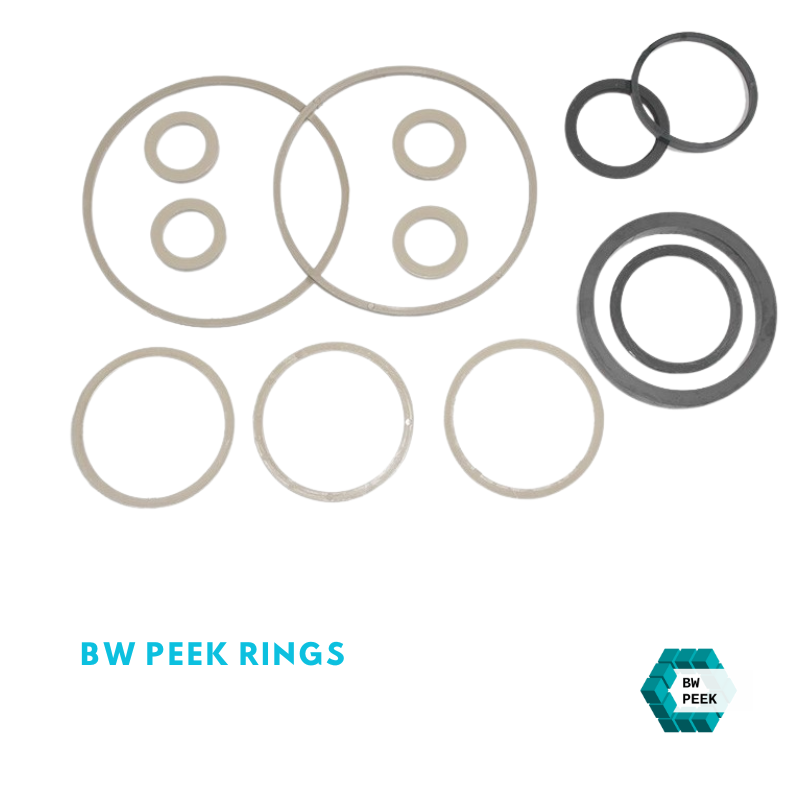 PEEK O RING